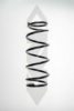 SPIDAN 85419 Coil Spring